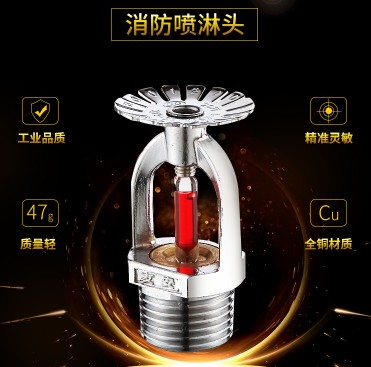 ���������^