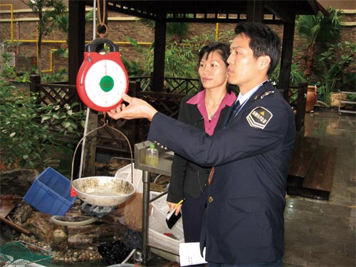 www.lcvtdvie.cn