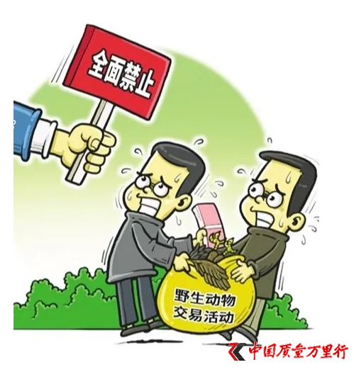 江西下發重要通知 全面禁止非法野生動物交易！