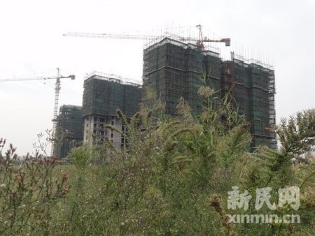 富力桃園垃圾填充天花板開發商自稱也是受害者