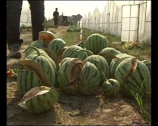 爆炸后的西瓜 爆炸后的西瓜