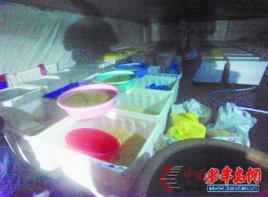 車間內(nèi)臟亂不堪。 車間內(nèi)臟亂不堪。