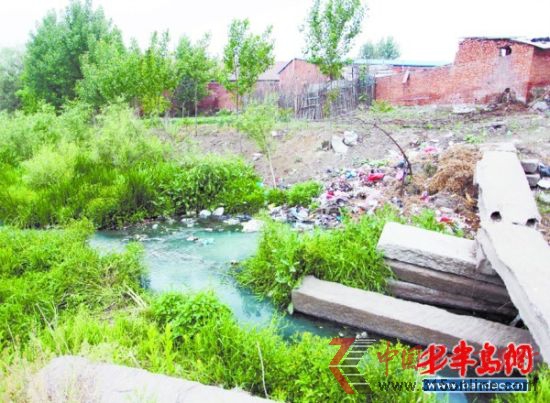 藍(lán)色頂棚的豆芽廠就在污水河旁。 藍(lán)色頂棚的豆芽廠就在污水河旁。