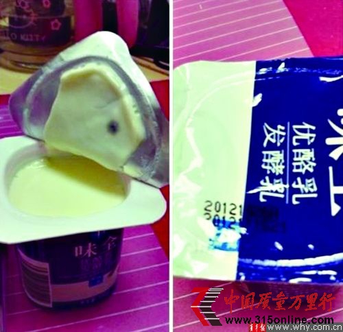 經(jīng)檢測,杯蓋上的黑點(diǎn)確實(shí)為霉點(diǎn)。 受訪者供圖 經(jīng)檢測,杯蓋上的黑點(diǎn)確實(shí)為霉點(diǎn)。 受訪者供圖